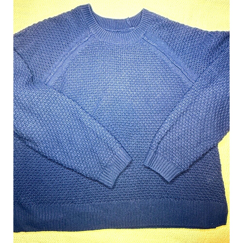 GAP Crew Neck Knit Pullover Sweater Blue Solid Long Sleeve Ribbed Cuffs L